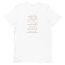 Load image into Gallery viewer, Words For Praise T-Shirt  (With Definitions)