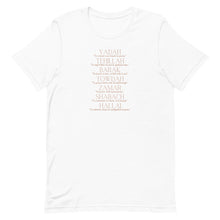 Load image into Gallery viewer, Words For Praise T-Shirt  (With Definitions)
