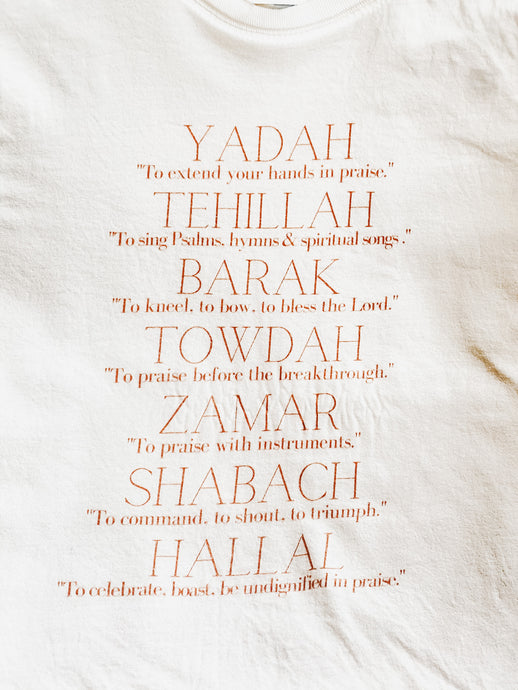 Words For Praise T-Shirt  (With Definitions)